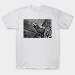 gargoyle 3 T-Shirt